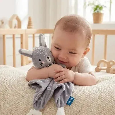 Conception du compagnon lapin d'éveil
